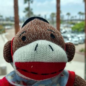 Meet your Posher, Steve